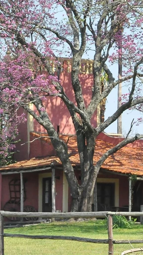 Cabañas Los Cohues Hero